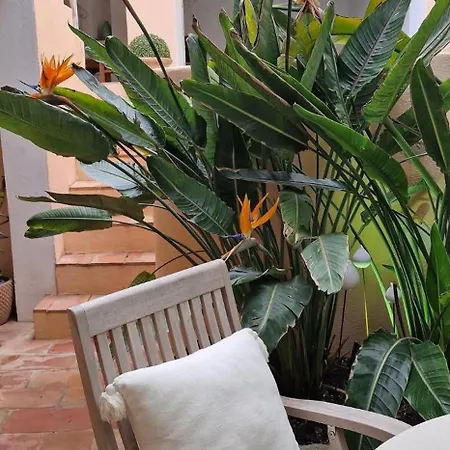 Maison Magdeleine Casa vacanze Saint-Tropez
