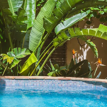 Maison Magdeleine Villa Saint-Tropez