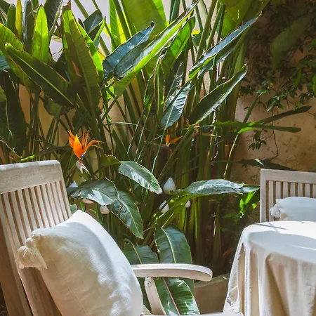 Villa Maison Magdeleine Saint-Tropez