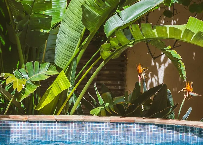 Maison Magdeleine Villa Saint-Tropez